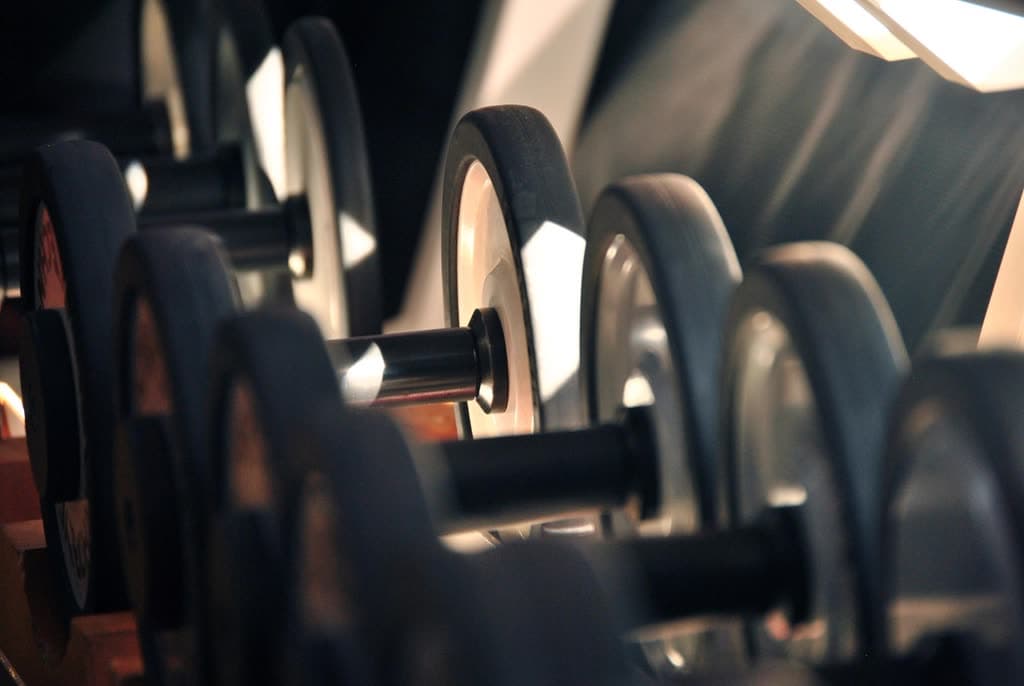 Close view of the dumbbell rack