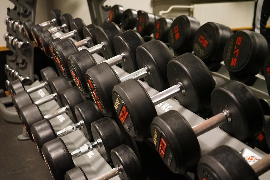 Dumbbell rack running the length of the free weights area